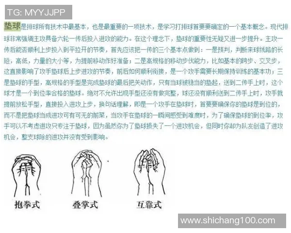 从零起步：全面解析排球团队协作技巧与实战策略