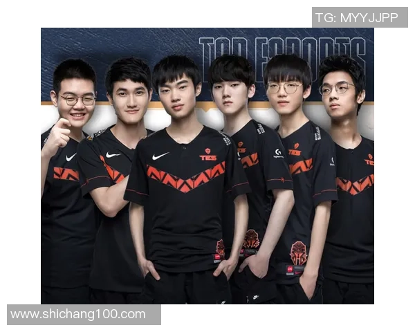 独家深度解析TES战队耐力对比及其对比赛表现的影响