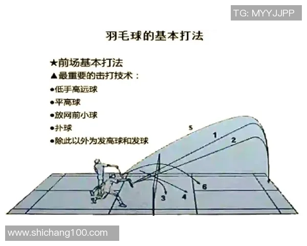 科学羽毛球技术训练方法的全面解析与实用技巧分享