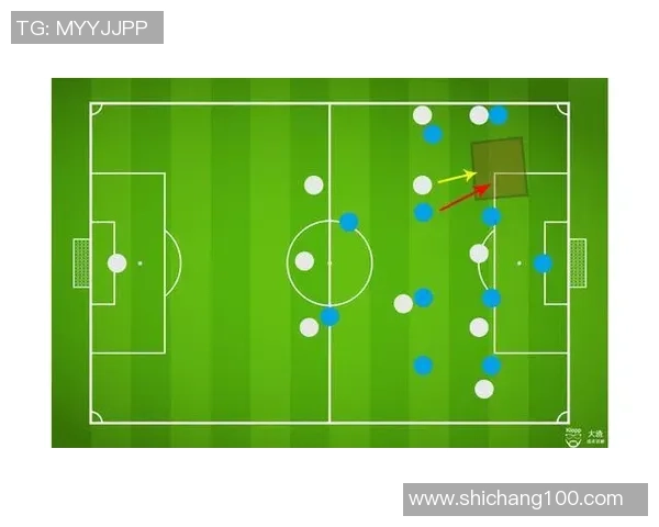 西安排球队配合表现的数据分析与战术探讨
