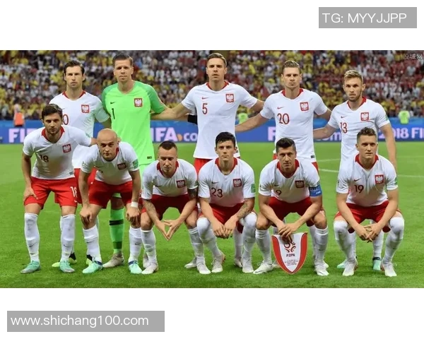 乌克兰与斯洛伐克比赛前瞻及比分预测分析全解析