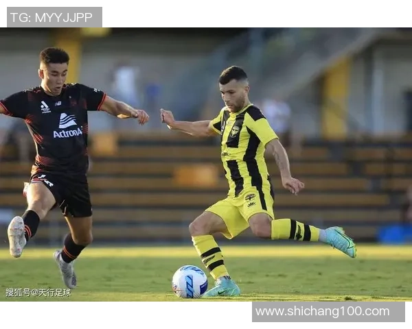 威灵顿凤凰迎战强敌争夺联赛冠军宝座的关键之战